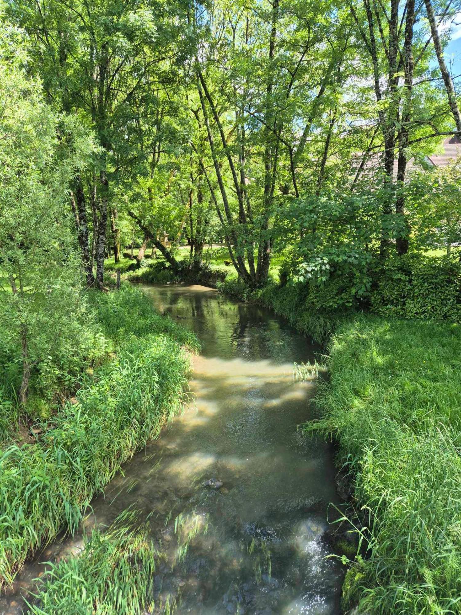 Au Lavoir Du Serein "L'Eventail" Saint-Germain-lès-Arlay 외부 사진