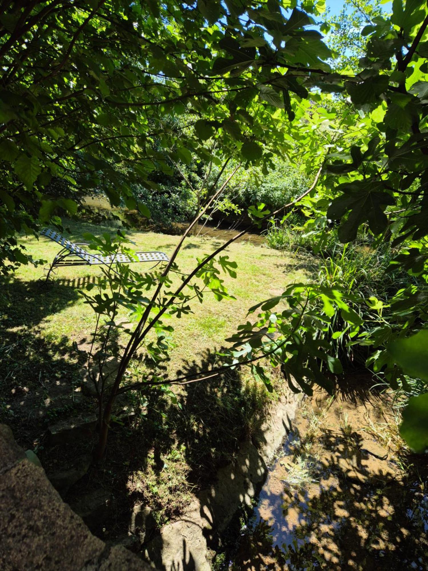 Au Lavoir Du Serein "L'Eventail" Saint-Germain-lès-Arlay 외부 사진